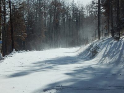 Lessons from Ashes: A Mountain Homesteading Community Finds Strong Leadership After Wildfires Image